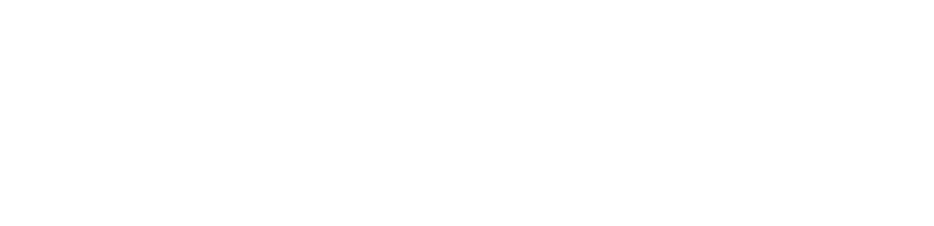 final-level-text-logo